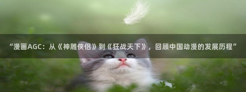 漫画社app官网入口：“漫画AGC：从《神雕侠侣》到《狂战天下》，回顾中国动漫的发展历程”